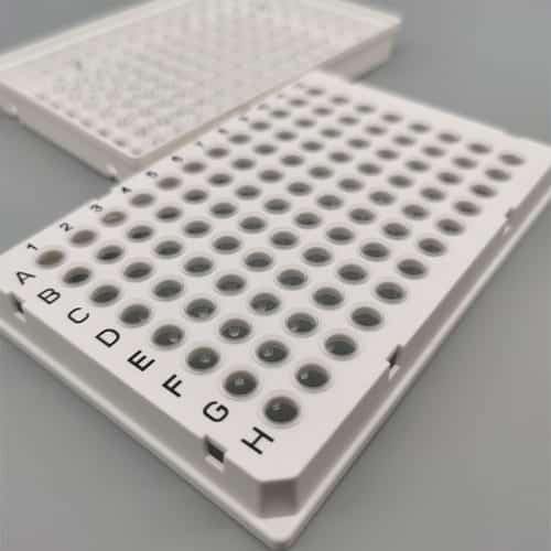 0.2mL PCR plate for CFX96 - TDE Biotech - Lab Consumables Manufacturer